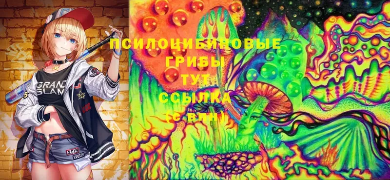 Галлюциногенные грибы Magic Shrooms  Шелехов 